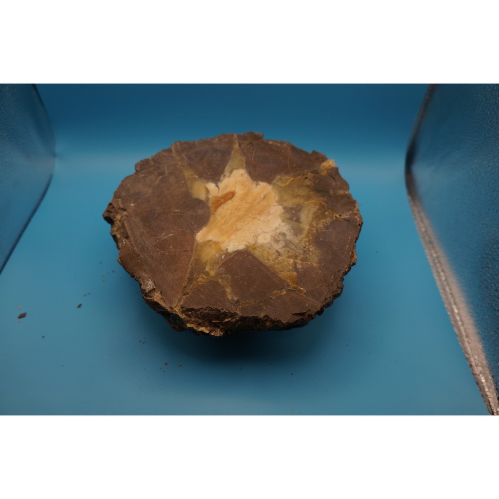 Oregon Thunderegg raw Agate Jasper Geode Specimen 7lb 1.8oz Star Core